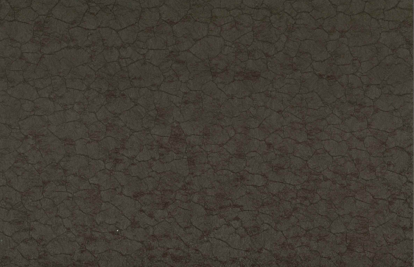ソルトレイク　SALTLAKE015+GDPL2%